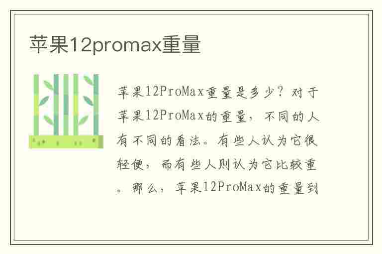 苹果12promax重量(苹果12promax重量多少克)