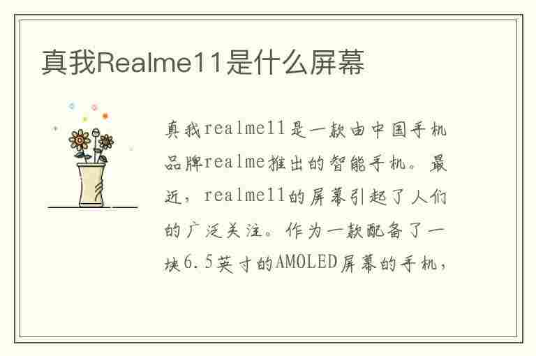 真我Realme11是什么屏幕