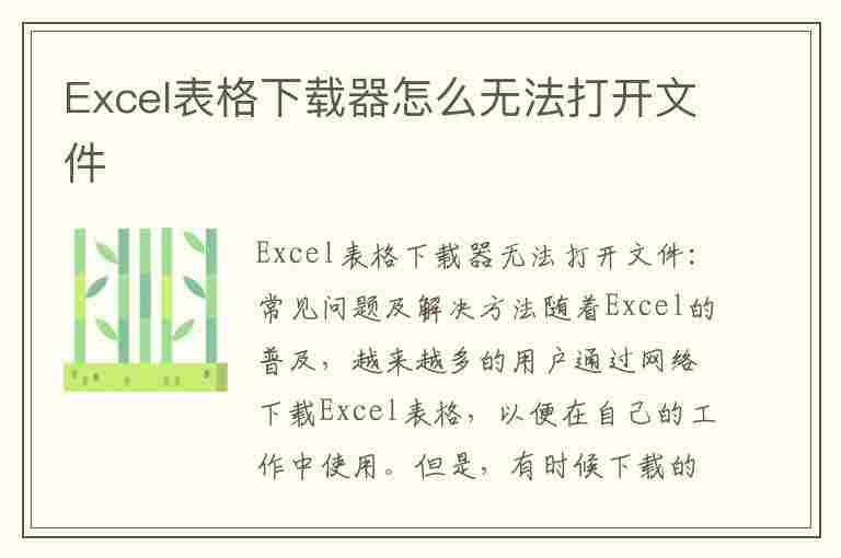 Excel表格下载器怎么无法打开文件