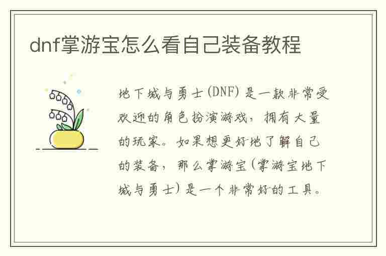 dnf掌游宝怎么看自己装备教程