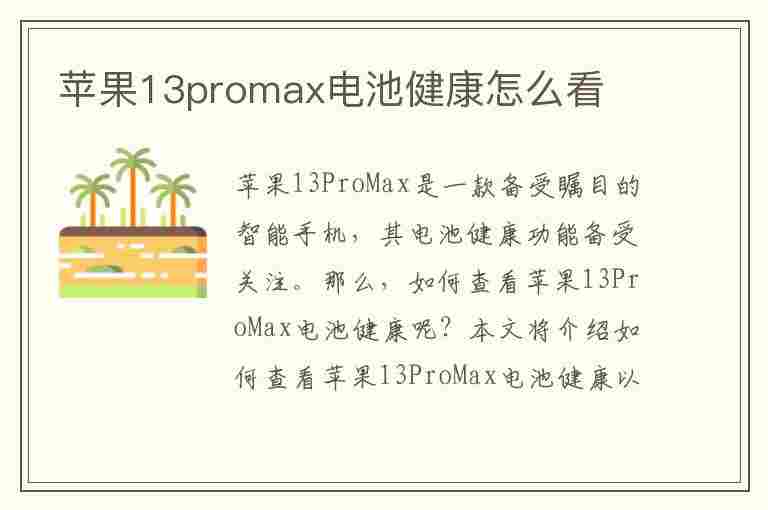 苹果13promax电池健康怎么看