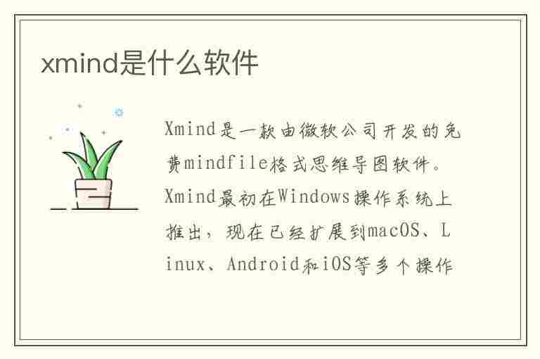 xmind是什么软件(xmind是什么软件如何打开)