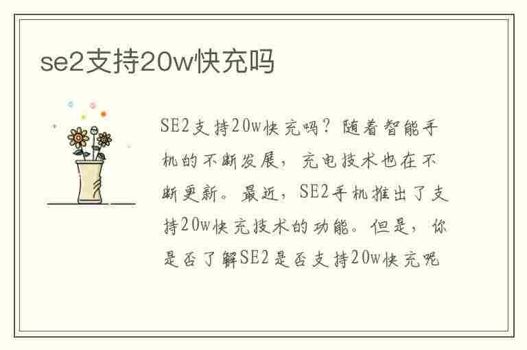 se2支持20w快充吗(苹果se2支持20w快充吗)