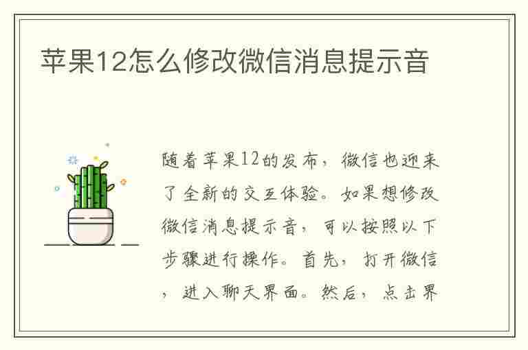 苹果12怎么修改微信消息提示音