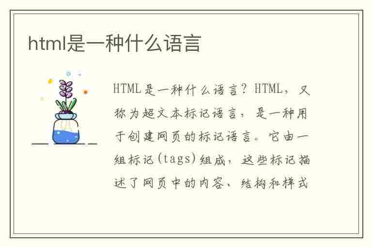 html是一种什么语言(什么叫html语言)