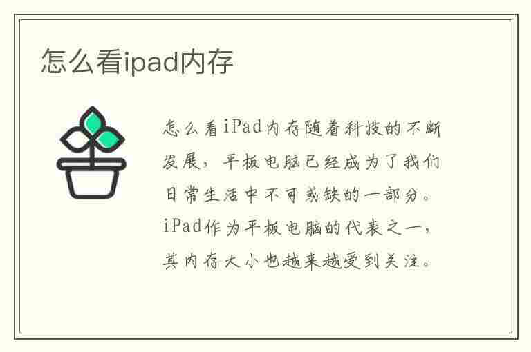 怎么看ipad内存(怎么看ipad内存还剩多少)