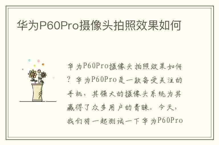 华为P60Pro摄像头拍照效果如何