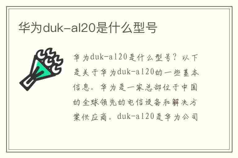 华为duk-al20是什么型号(华为dukal20是什么型号手机)