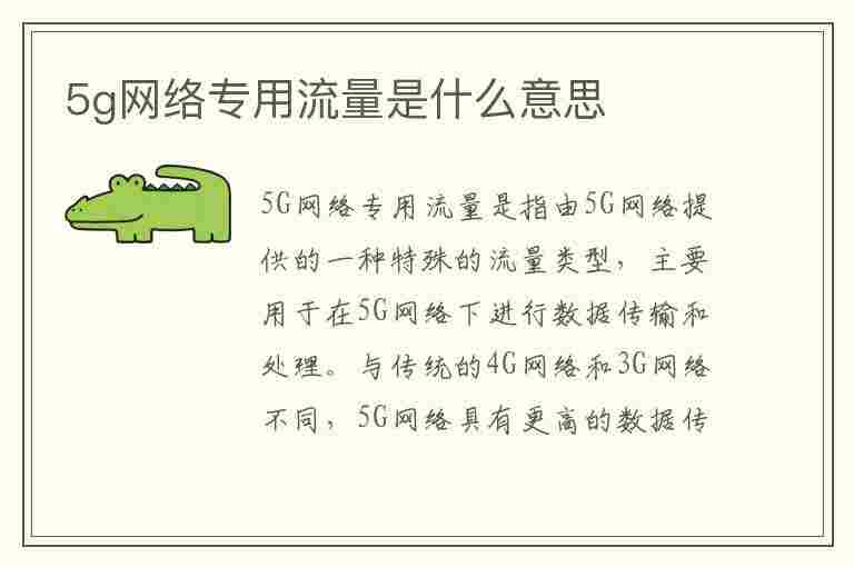 5g网络专用流量是什么意思(5g网络专用流量是什么意思啊)