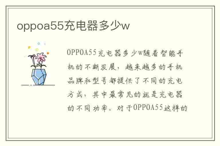 oppoa55充电器多少w(oppoa55充电器多少w快充)