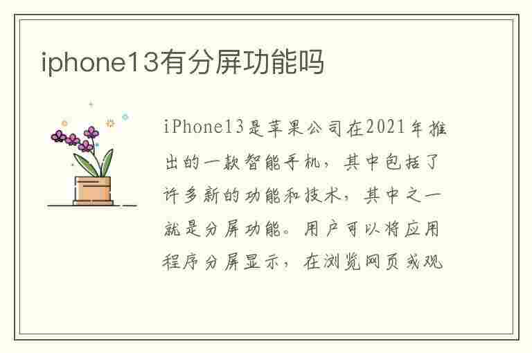 iphone13有分屏功能吗(苹果13有分屏功能吗)