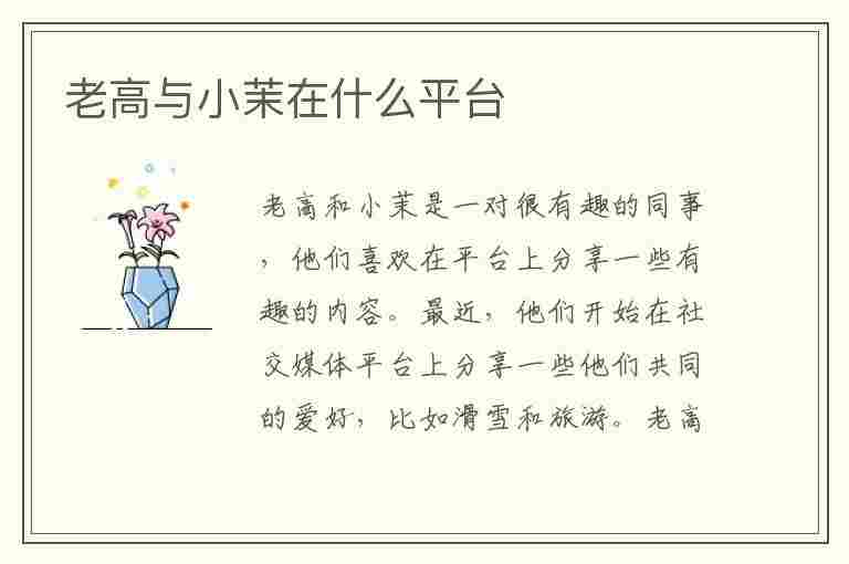 老高与小茉在什么平台(老高与小茉在什么平台发视频)