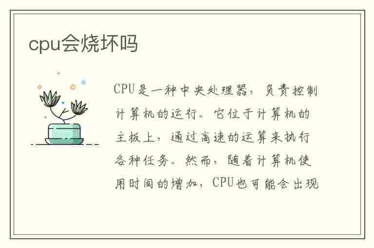 cpu会烧坏吗(手机cpu会烧坏吗)