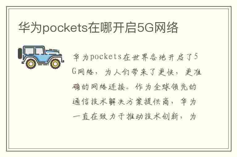 华为pockets在哪开启5G网络