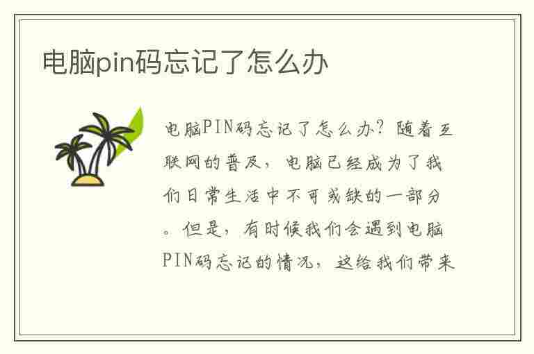 电脑pin码忘记了怎么办(电脑pin码忘记了怎么办?)