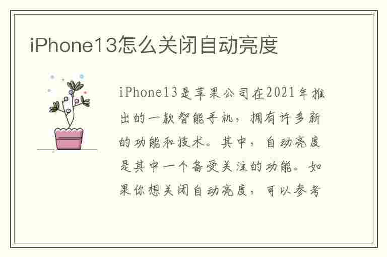 iPhone13怎么关闭自动亮度