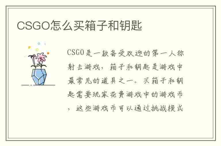 CSGO怎么买箱子和钥匙(蒸汽平台csgo怎么买箱子和钥匙)