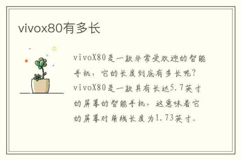 vivox80有多长(vivox80有多长厘米)