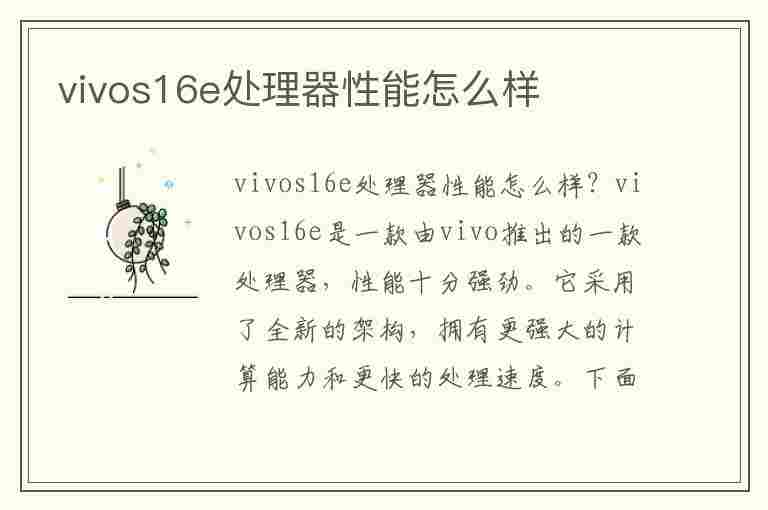 vivos16e处理器性能怎么样