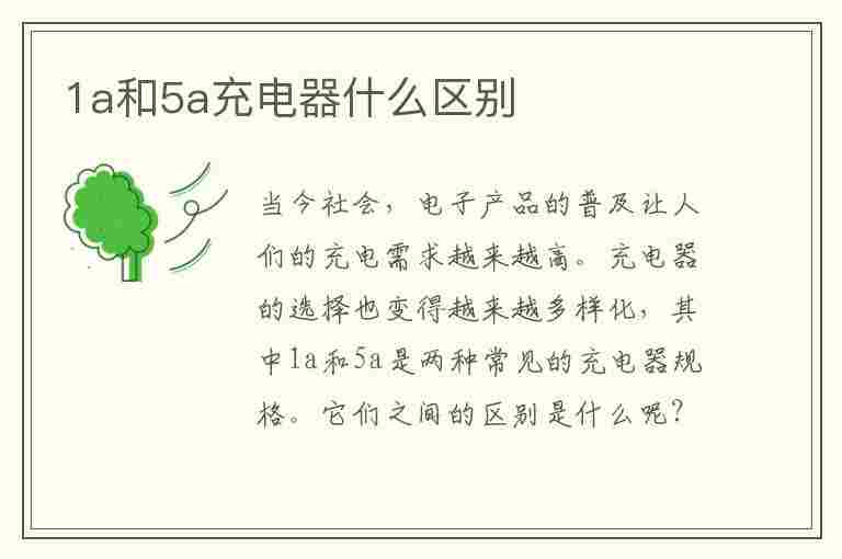 1a和5a充电器什么区别(1a和5a充电器什么区别啊)