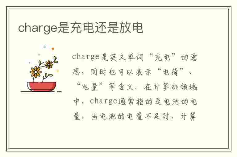 charge是充电还是放电