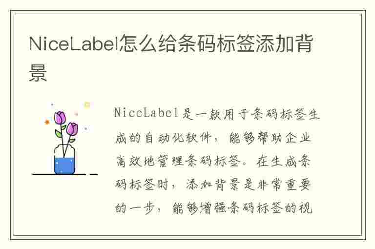 NiceLabel怎么给条码标签添加背景