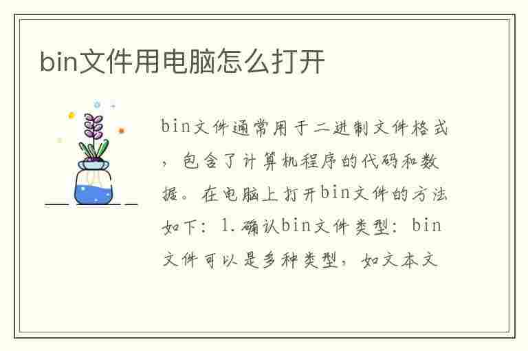 bin文件用电脑怎么打开(bin文件电脑如何打开)