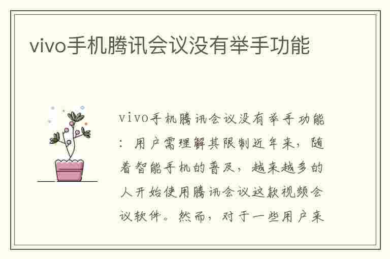 vivo手机腾讯会议没有举手功能