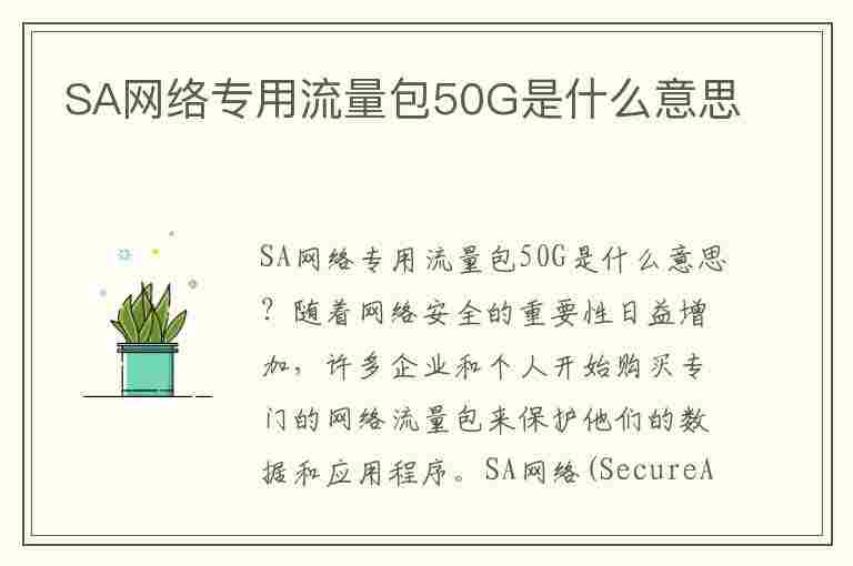 SA网络专用流量包50G是什么意思