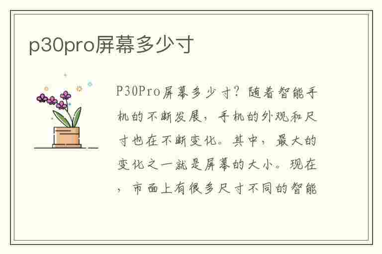 p30pro屏幕多少寸(华为p30pro屏幕多少寸)