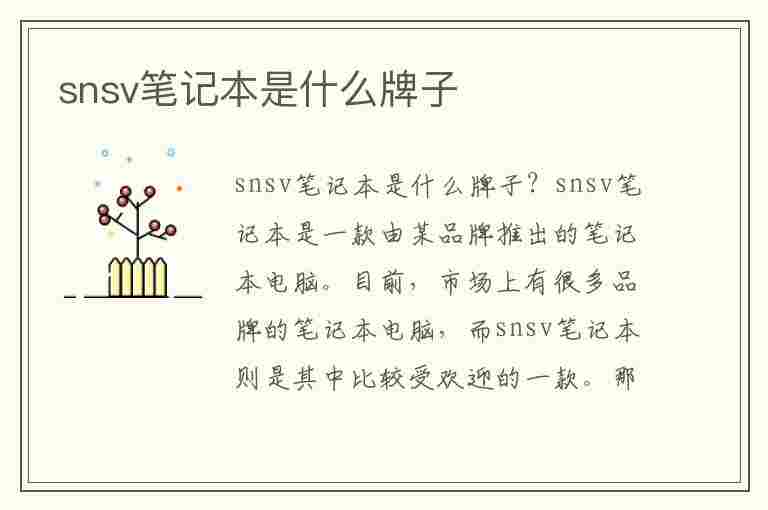 snsv笔记本是什么牌子(snsv笔记本是什么牌子的电脑)