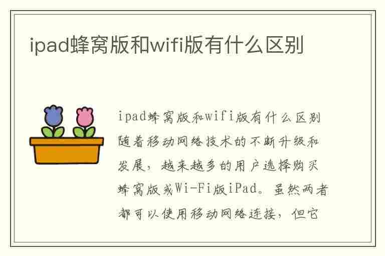 ipad蜂窝版和wifi版有什么区别