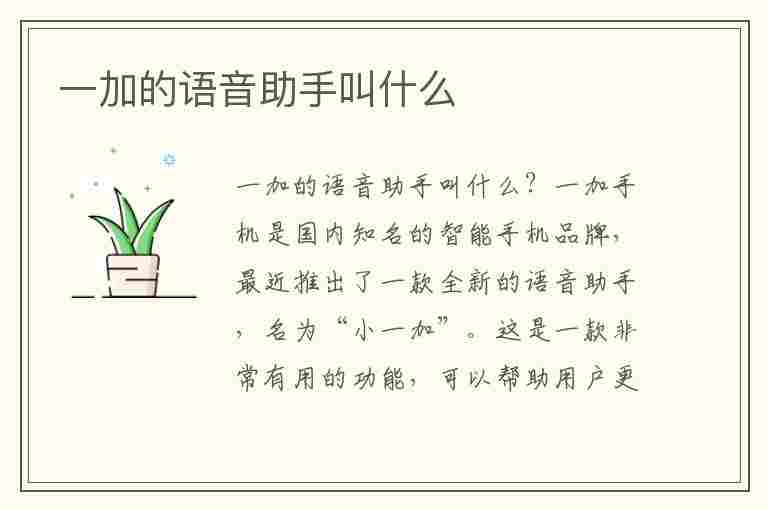 一加的语音助手叫什么(一加的语音助手叫什么名字)