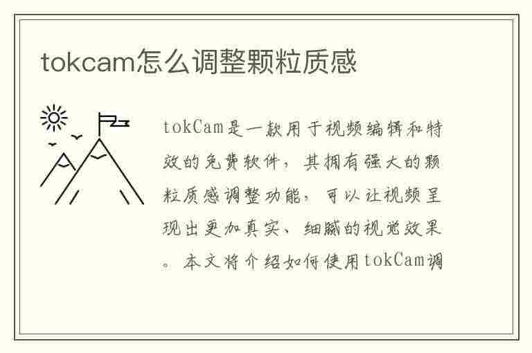 tokcam怎么调整颗粒质感