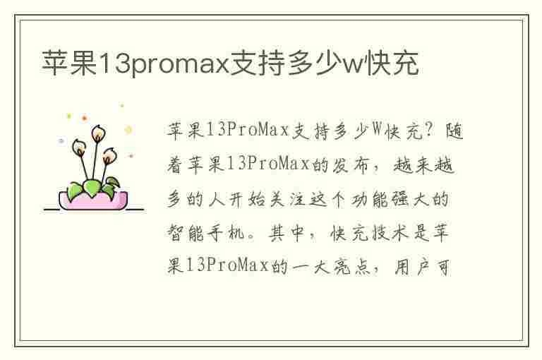 苹果13promax支持多少w快充