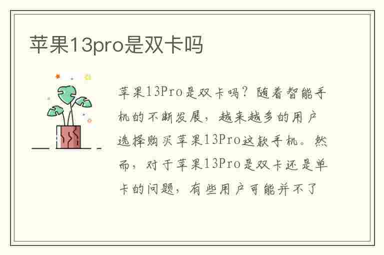 苹果13pro是双卡吗(美版苹果13pro是双卡吗)