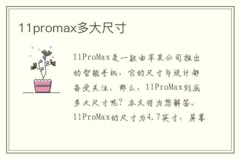 11promax多大尺寸(苹果11promax多大尺寸)