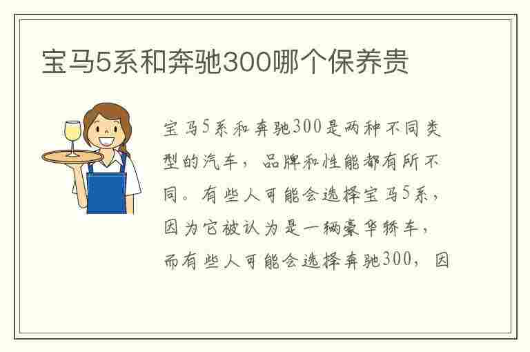 宝马5系和奔驰300哪个保养贵(宝马5系和奔驰300哪个保养贵些)