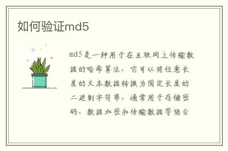 如何验证md5(如何验证md5码)