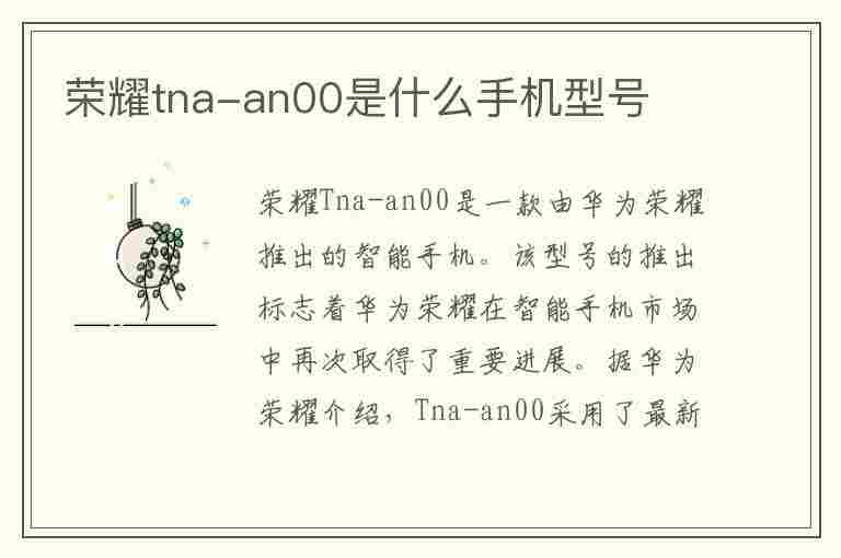 荣耀tna-an00是什么手机型号