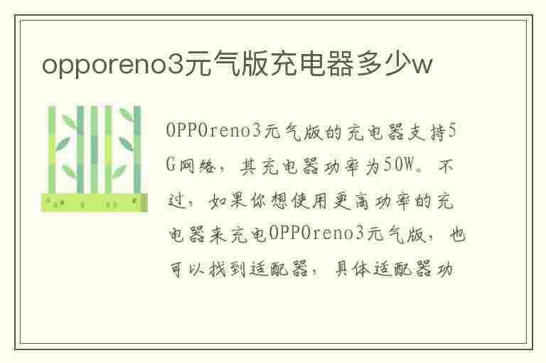 opporeno3元气版充电器多少w