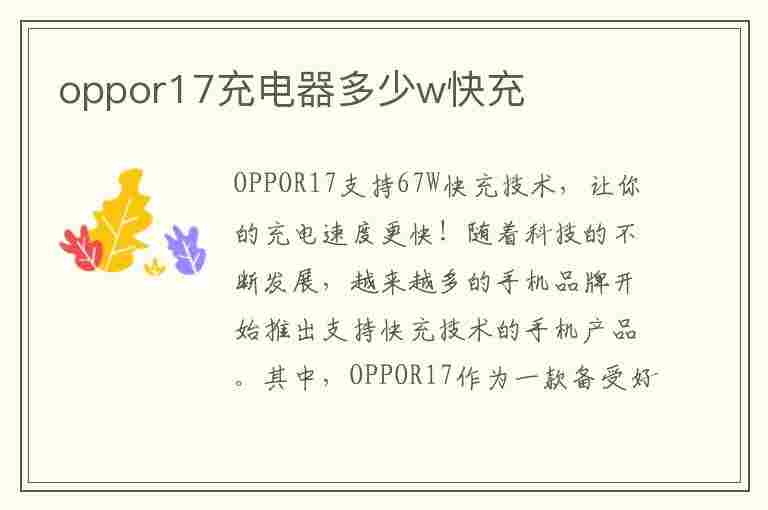 oppor17充电器多少w快充