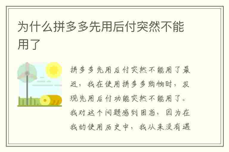 为什么拼多多先用后付突然不能用了