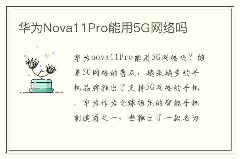 华为Nova11Pro能用5G网络吗