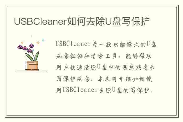 USBCleaner如何去除U盘写保护