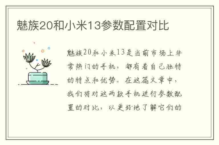 魅族20和小米13参数配置对比(魅族20和小米13参数配置对比图)