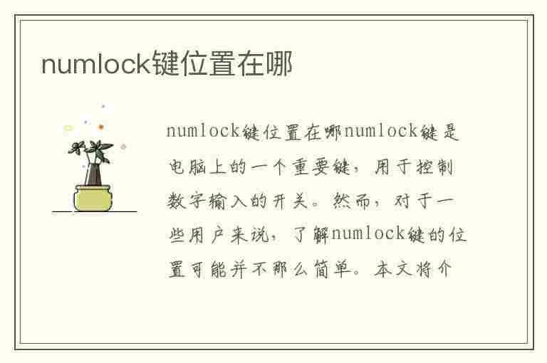 numlock键位置在哪(numlock键位置在哪里)