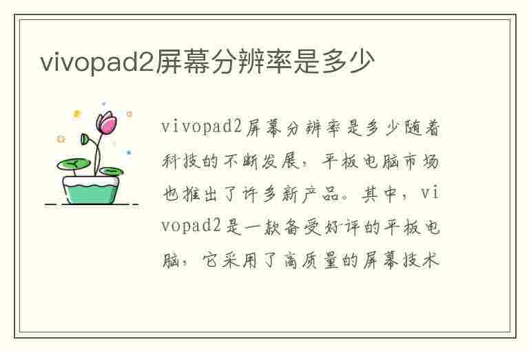 vivopad2屏幕分辨率是多少