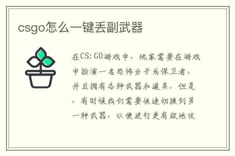 csgo怎么一键丢副武器(csgo怎么一键丢副武器皮肤)