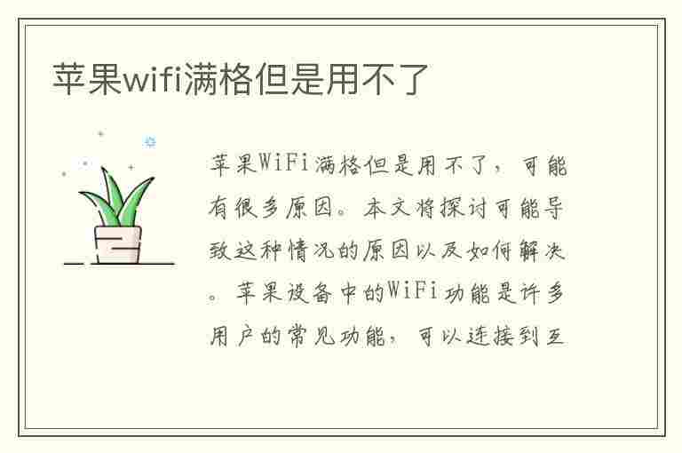 苹果wifi满格但是用不了